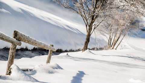 Winter countryside in Pfitsch